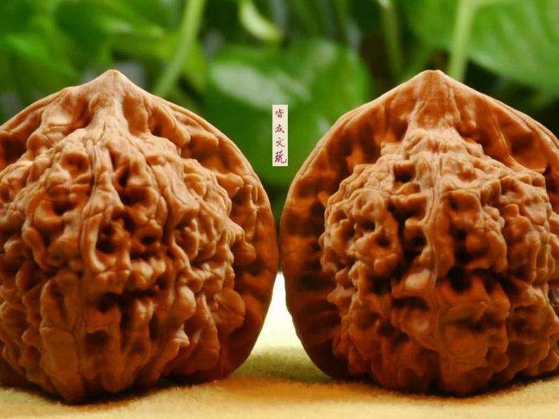 singto狮子ins粉丝