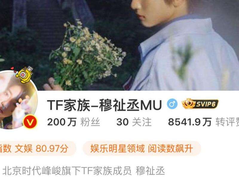 tf家族ins粉丝网名